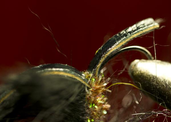 FOSAF_2903.jpg