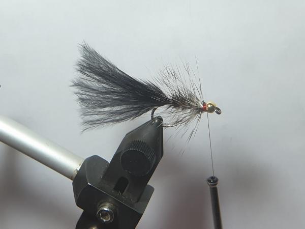 FOSAF_3583.jpg