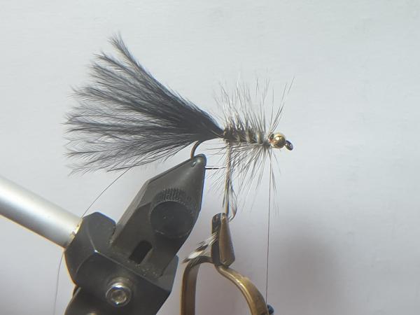 FOSAF_3585.jpg