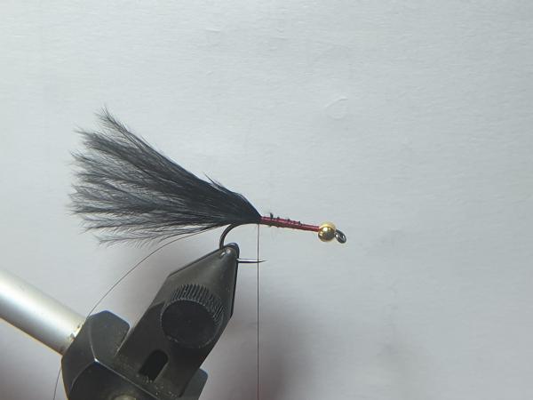 FOSAF_3590.jpg