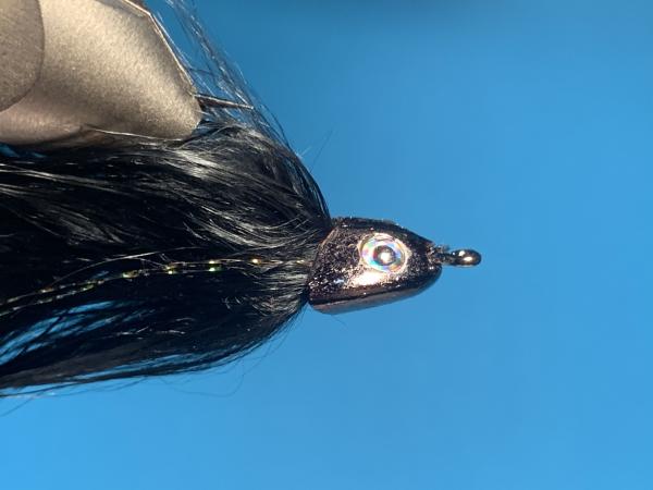 FOSAF_3786.jpg