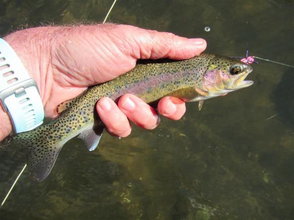 FOSAF_3993.jpg