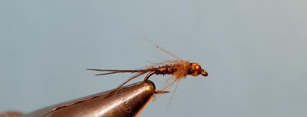 FOSAF_4065.jpg