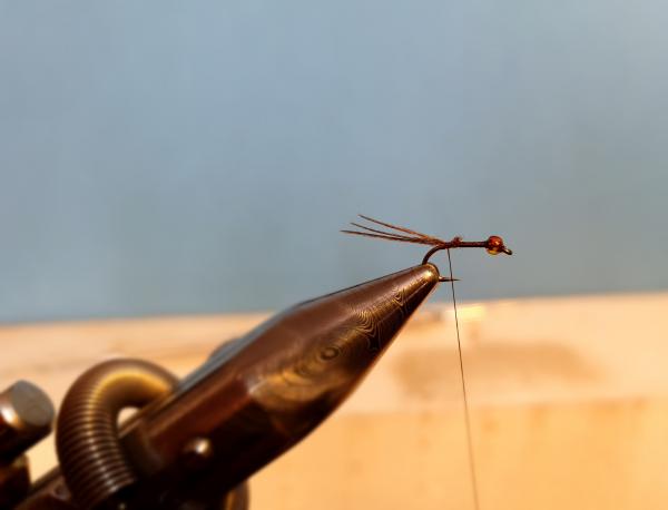 FOSAF_4074.jpg