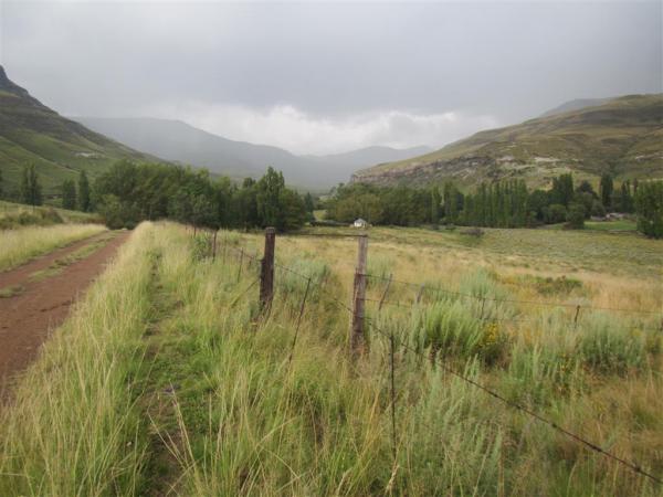 FOSAF_4401.jpg