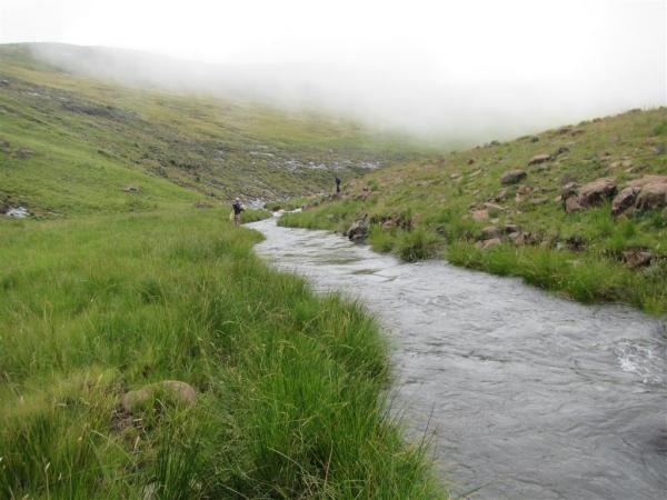 FOSAF_4417.jpg
