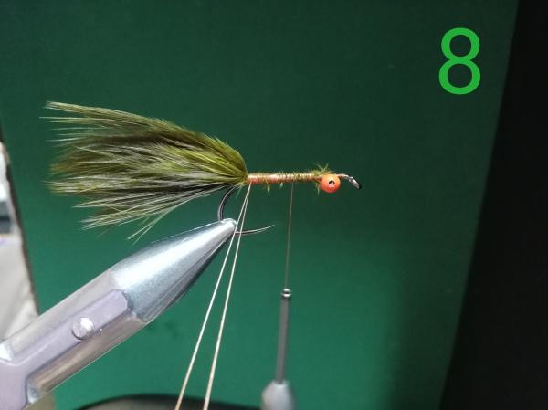 FOSAF_4533.jpg