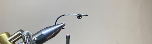 FOSAF_4625.jpg