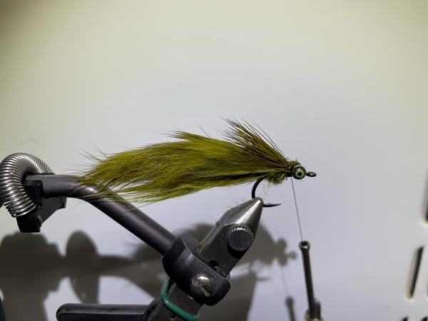 FOSAF_5097.jpg