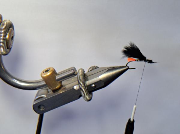 FOSAF_5261.jpg