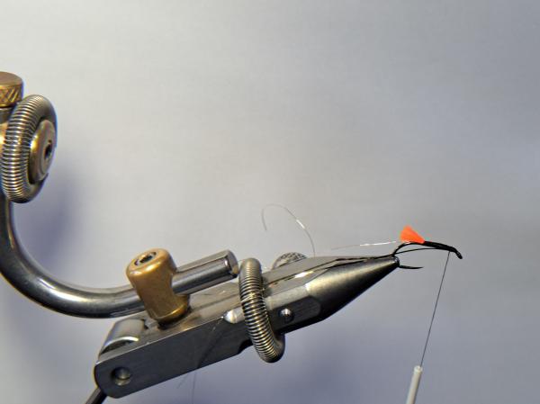 FOSAF_5263.jpg