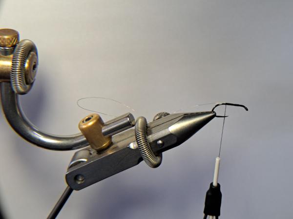 FOSAF_5265.jpg