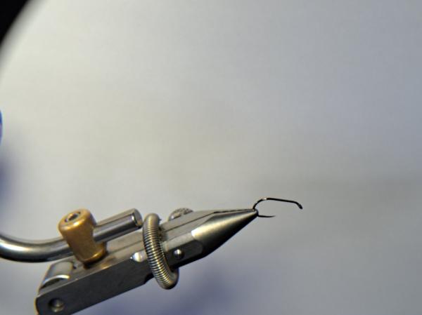FOSAF_5266.jpg