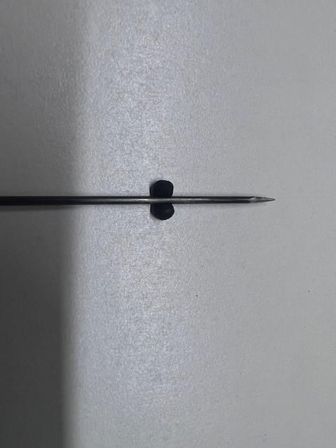 FOSAF_5450.jpg