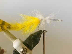 FOSAF_5779.jpg