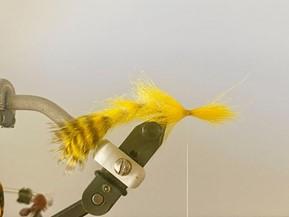FOSAF_5784.jpg