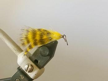 FOSAF_5791.jpg