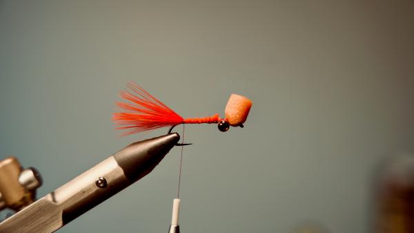 FOSAF_5873.jpg