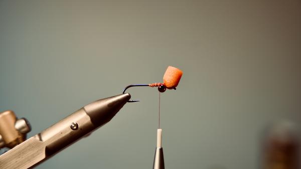 FOSAF_5874.jpg