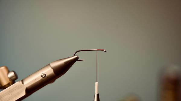 FOSAF_5877.jpg