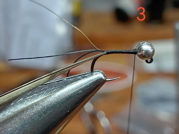 FOSAF_6007.jpg FOSAF_6007.jpg