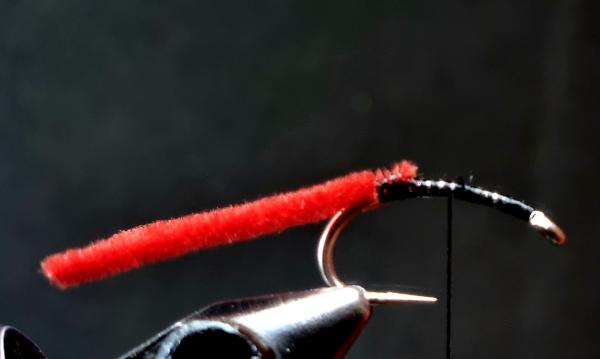 FOSAF_6329.jpg