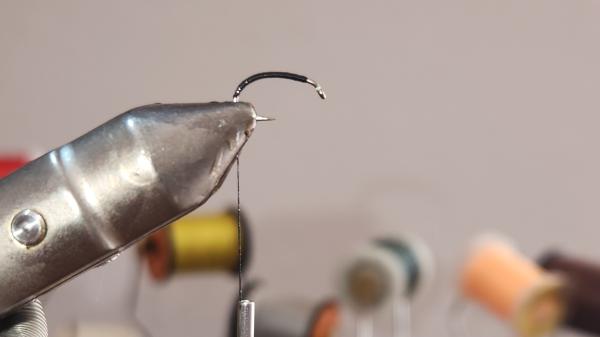FOSAF_6494.jpg