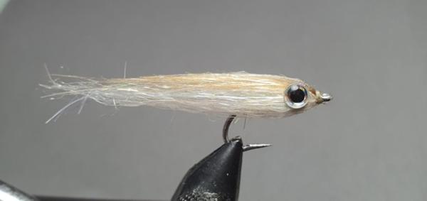 FOSAF_6606.jpg
