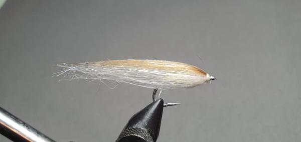 FOSAF_6608.jpg