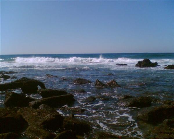 FOSAF_7415.jpg