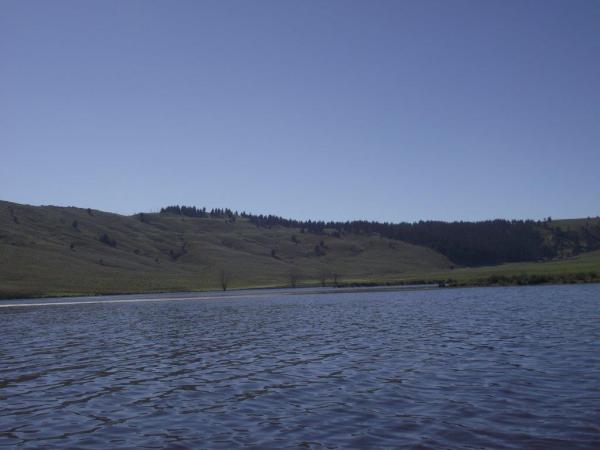 FOSAF_7506.jpg