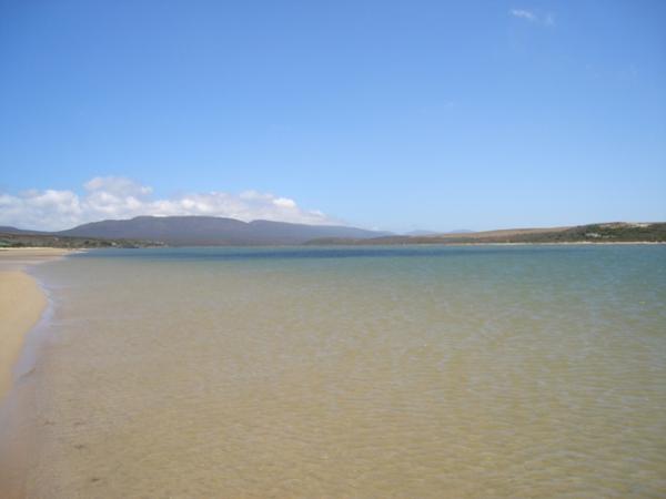 FOSAF_7564.jpg